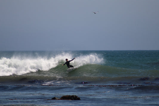 Baja Surfari Weekender