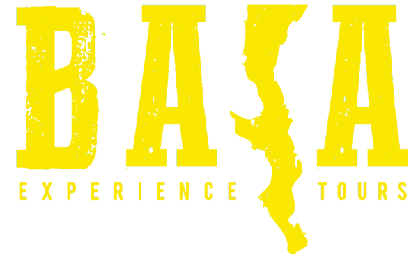 Baja Experience Tours