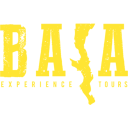 bajaexperiencetours.com-logo