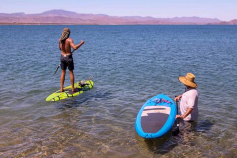 Stand Up Paddle boarding